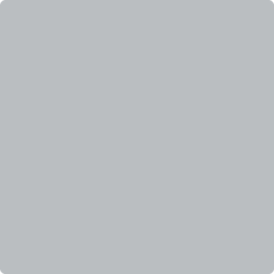 2124-40: Thundercloud Gray a paint color by Benjamin Moore avaiable at Clement's Paint in Austin, TX.