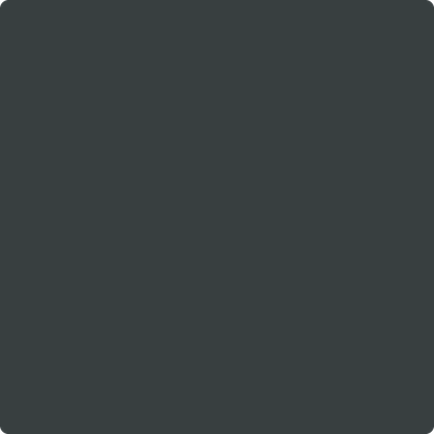 2131-20: Midnight Gray a paint color by Benjamin Moore avaiable at Clement's Paint in Austin, TX.