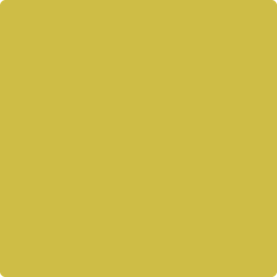 371-Bright: Gold a paint color by Benjamin Moore avaiable at Clement's Paint in Austin, TX.