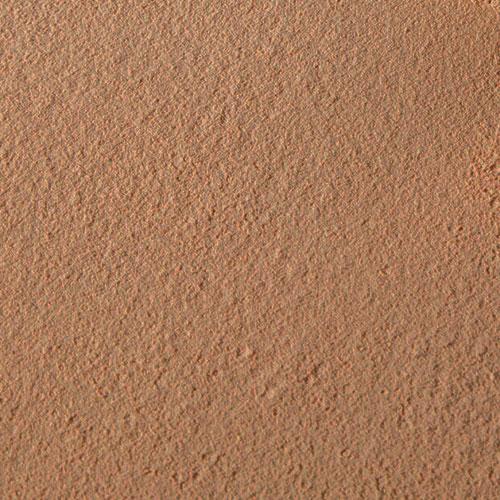 Thin Lizzy - 6in1 Professional Powder - Swatch
