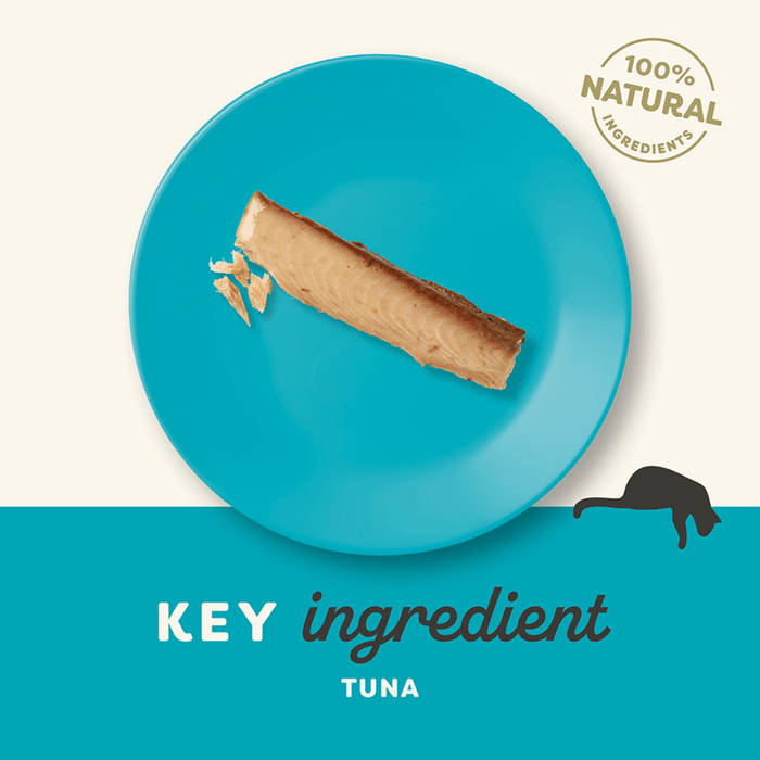 A teal plate is a mackerel fillet pictured on a cream and teal background. A silhouette of a cat is pictured with text below 'Key ingredient Tuna'.