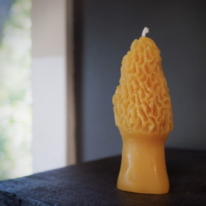 Beeswax Mushroom Candle
