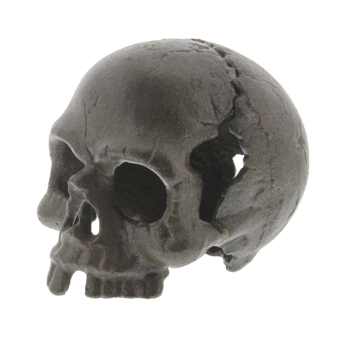 Cast Iron Skull