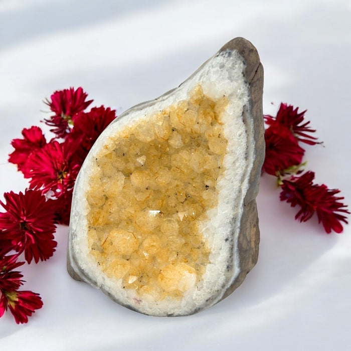 Geode crystal with yellow crystals on a white background with red flowers