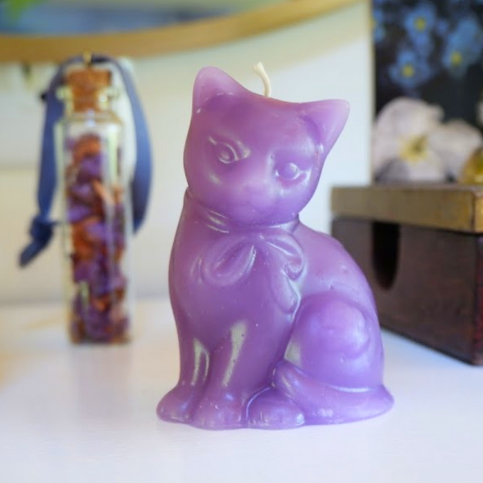 Colorful Cat