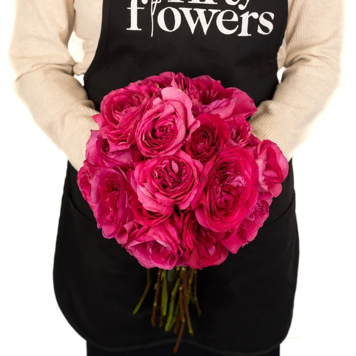Shocking Pink Garden Rose Apron - Image