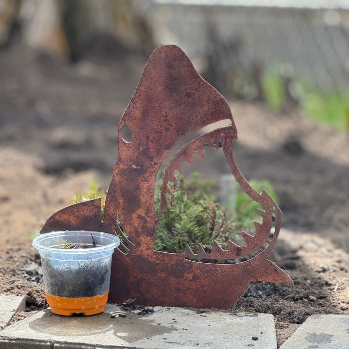 Garden Shark