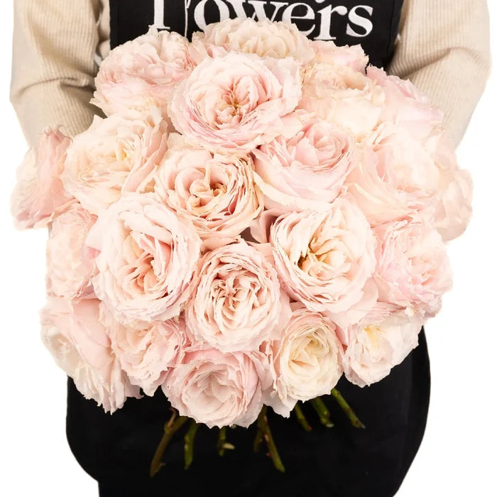 Ginger Cream Garden Rose Apron - Image