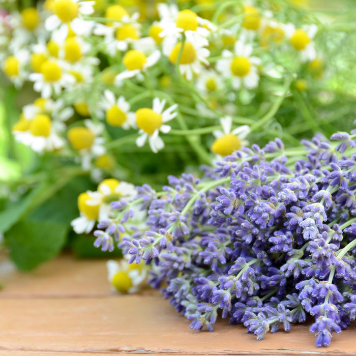Lavender Chamomile Fragrance Oil 857