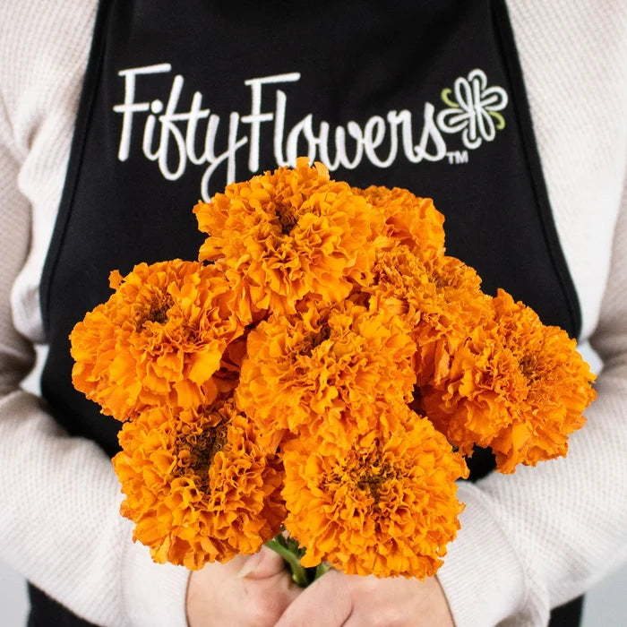 Orange Marigold Flower Bunch in Hand
