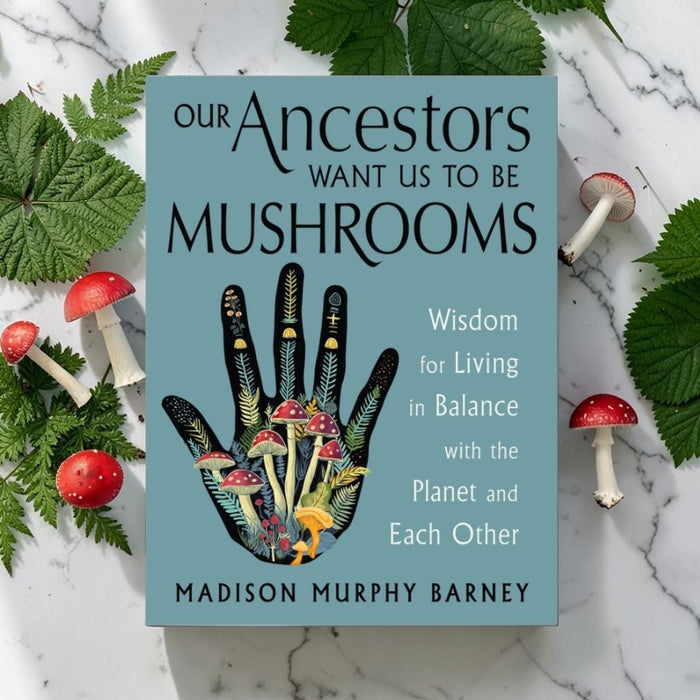 The book 'Our Ancestors Want Us to Be Mushrooms' by Madison Murphy Barney is displayed flat on a white marble surface, surrounded by green fern leaves and small red-and-white mushrooms. The book cover is light blue with black text and a central illustration of a hand made of mushrooms.