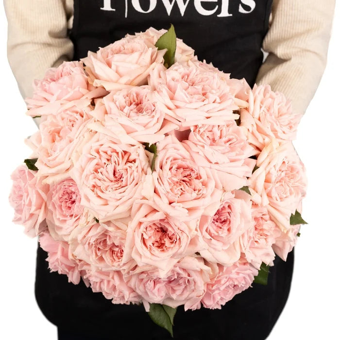 Perfect Pink Garden Rose Apron - Image