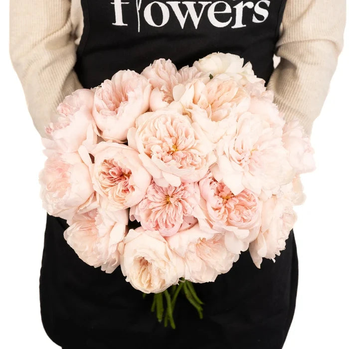 Pleasing Pink Garden Rose Apron - Image