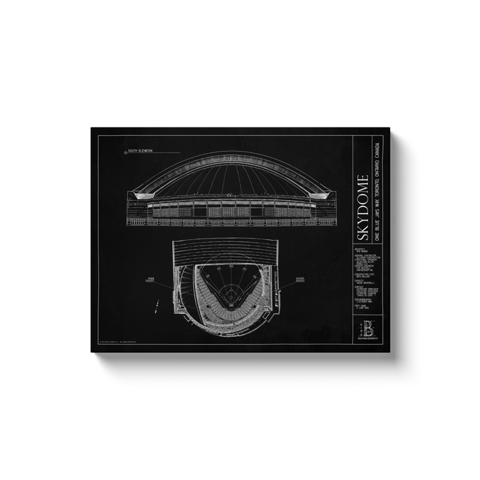 Skydome 18x24" Canvas Wrap - Black