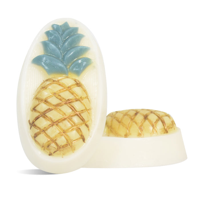 Southern Hospitality Pineapple MP Soap Kit