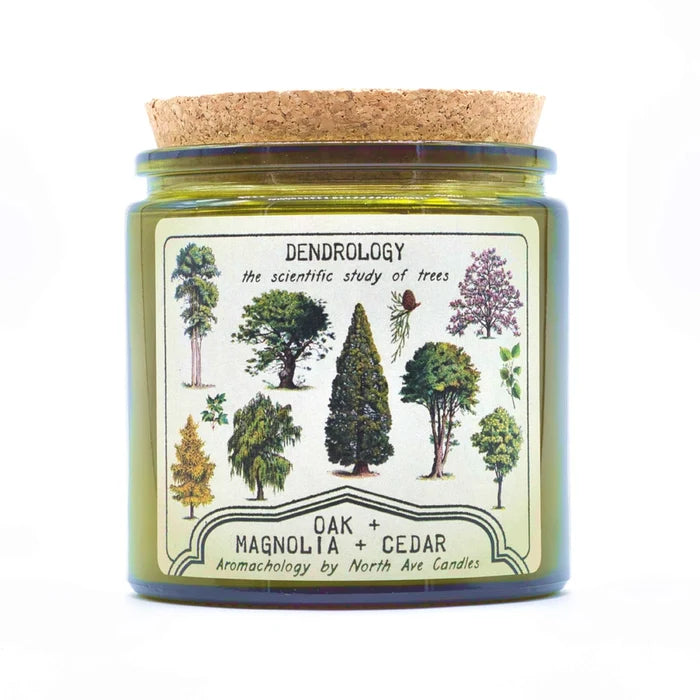 Tree Dendrology Oak Magnolia & Cedar Scented Jar Candle