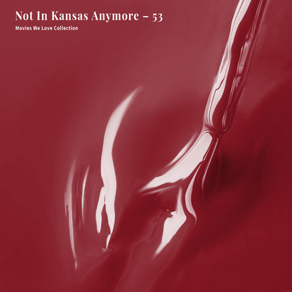 4-in-1 Not In Kansas Anymore - 53