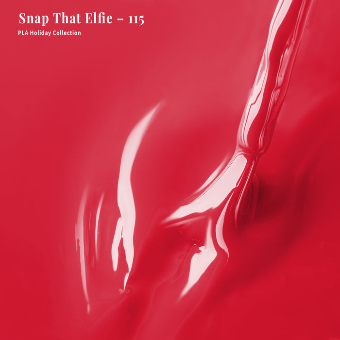 4-in-1 Snap That Elfie - 115
