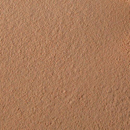 Thin Lizzy - 6in1 Professional Powder  - Swatch