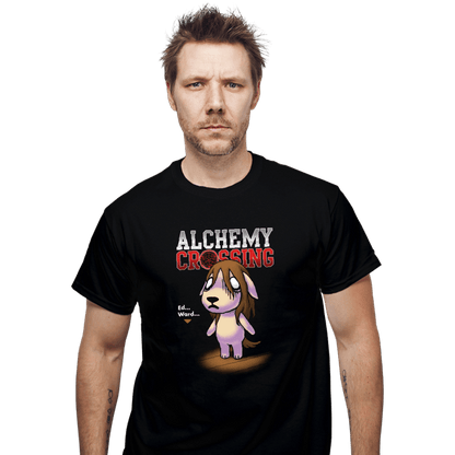 Secret_Shirts T-Shirts, Unisex / Small / Black Alchemy Crossing T-Shirt