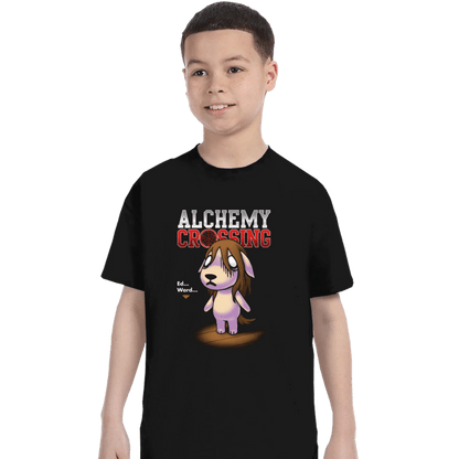 Secret_Shirts T-Shirts, Youth / XS / Black Alchemy Crossing T-Shirt