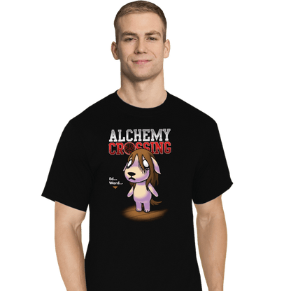 Secret_Shirts T-Shirts, Tall / Large / Black Alchemy Crossing T-Shirt