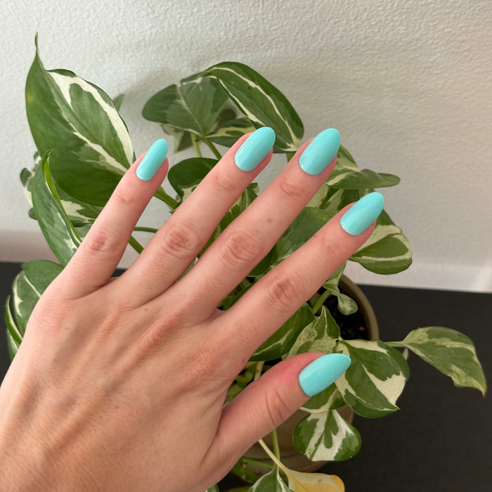 All Manis on Deck | Medium | Oval - Tab Press-On nails in bright aquatic blue-green shade shown on hand with green plant background