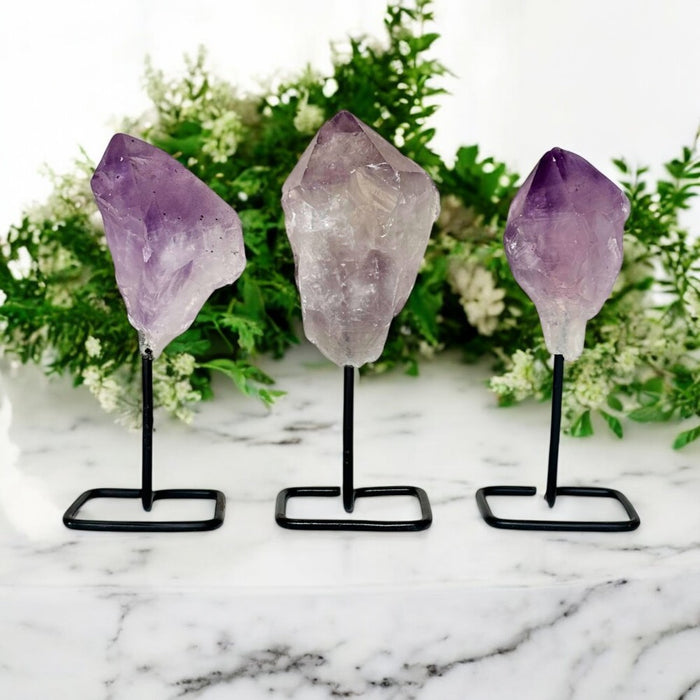 Three amethyst crystal points on stands with a floral background