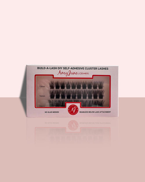 Aurora Starter Set
