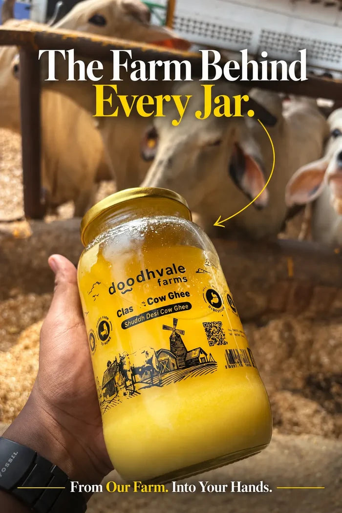 B1G1 Classic Cow Bilona Ghee .