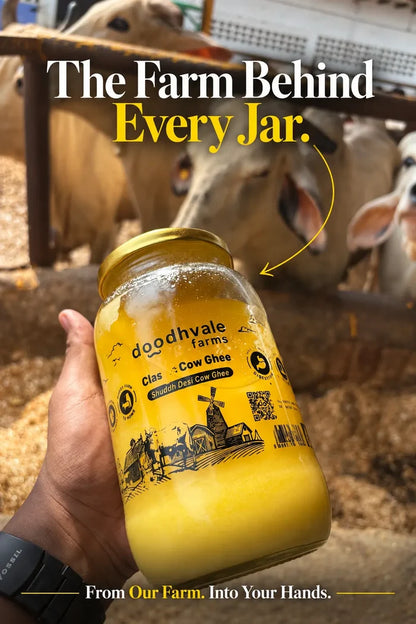 B1G1 Classic Cow Bilona Ghee .