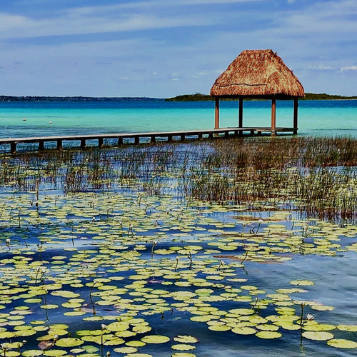 Beach Lily & Lotus Fragrance Oil 1025