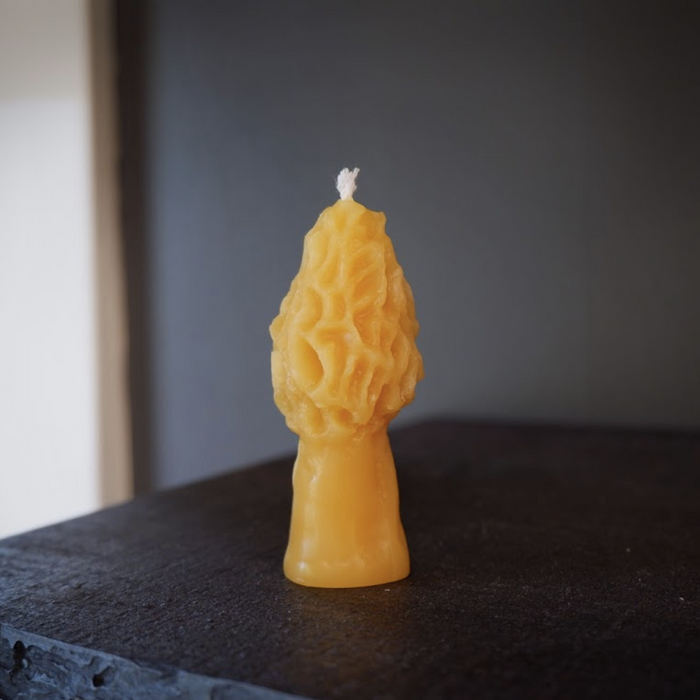 Beeswax Mushroom Candle