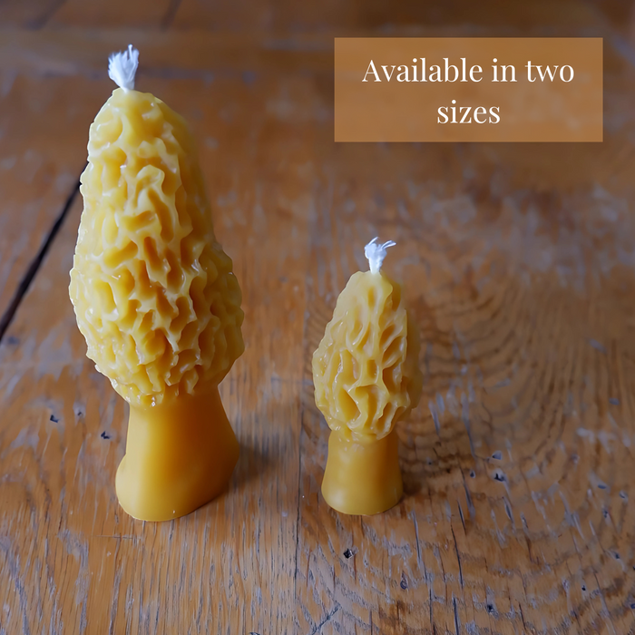 Beeswax Mushroom Candle