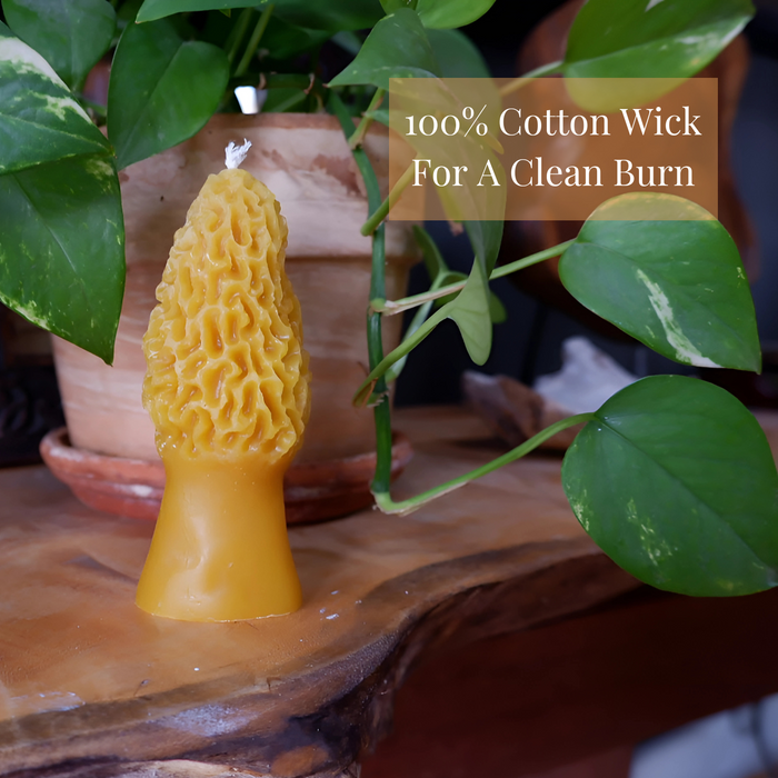 Beeswax Mushroom Candle