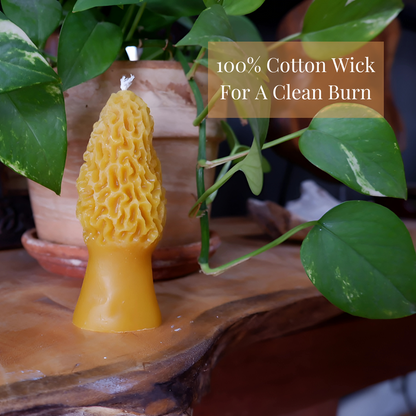 Beeswax Mushroom Candle