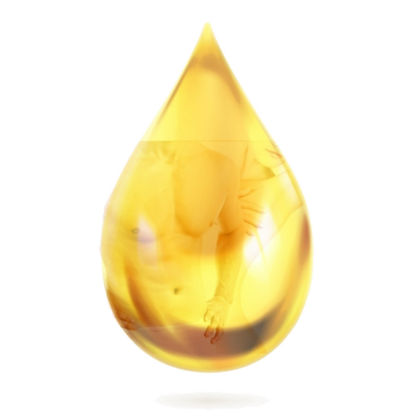 BIO CITRUS FRUIT OIL 20 ml