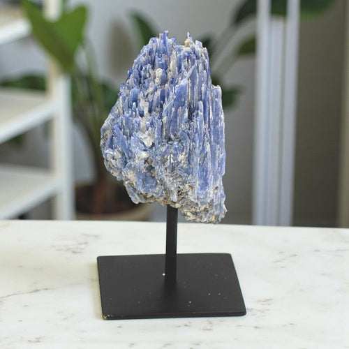 Blue Kyanite formation on a black stand with a blurred indoor background