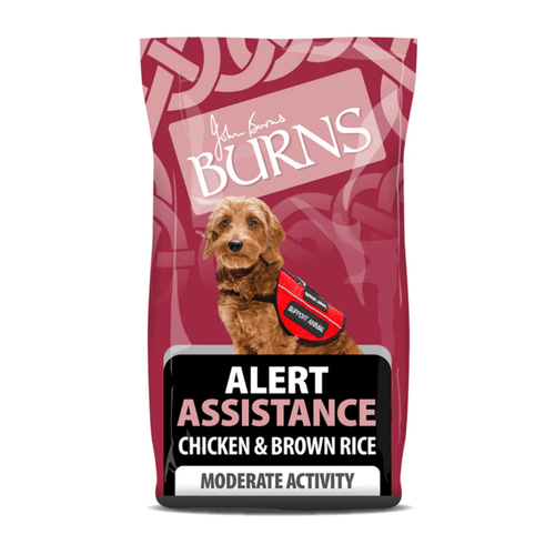 White background with a bag of Burns Alert Assistance Chicken dry dog food, pictured on the bag is a terrier type dog below is text 'Alert Assistance Chicken & Brown Rice, Moderate Activity'.