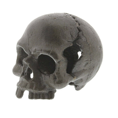 Cast Iron Skull
