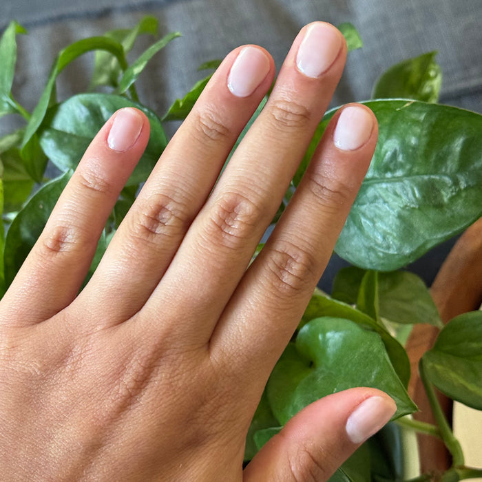 CCT - Gel on natural nails with a soft sheer pink polish for a delicate, feminine mani by Olive and June