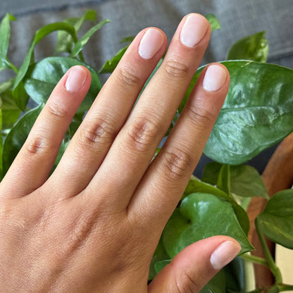 CCT - Gel on natural nails with a soft sheer pink polish for a delicate, feminine mani by Olive and June