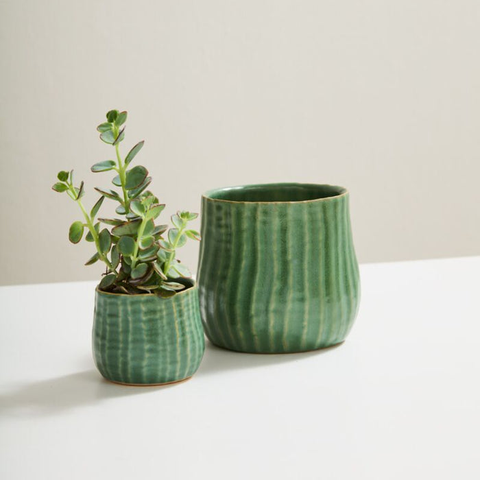 Ceramic Palmero Planter
