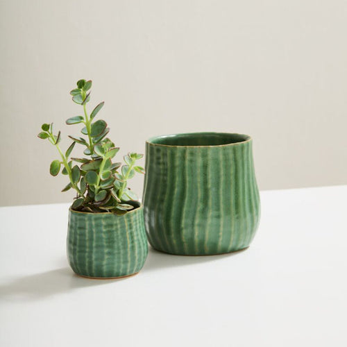 Ceramic Palmero Planter
