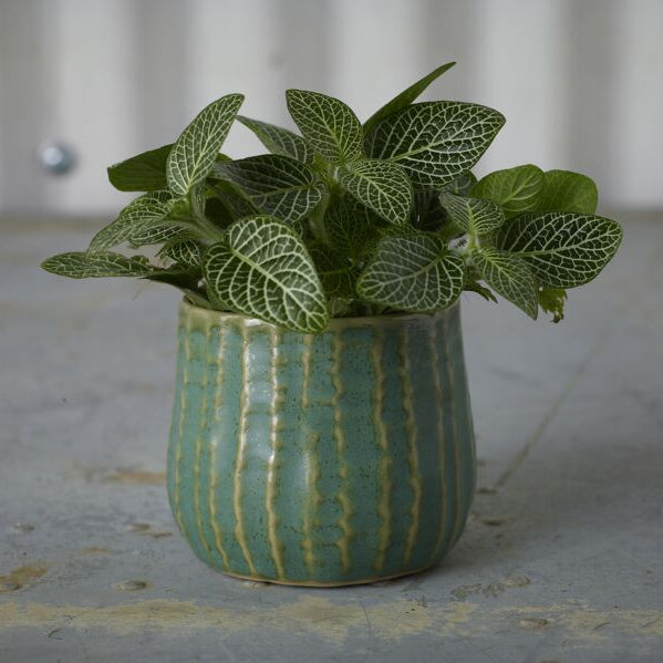 Ceramic Palmero Planter