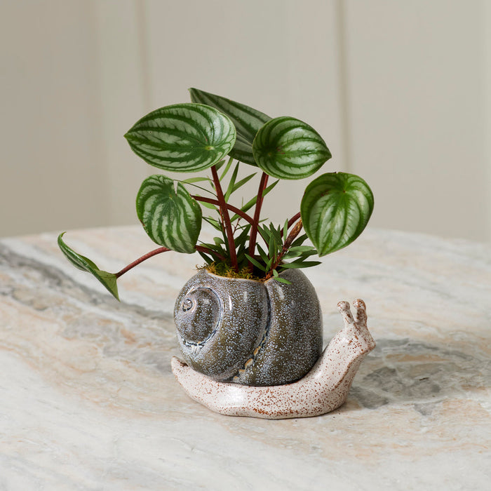 Ceramic Snail Planter