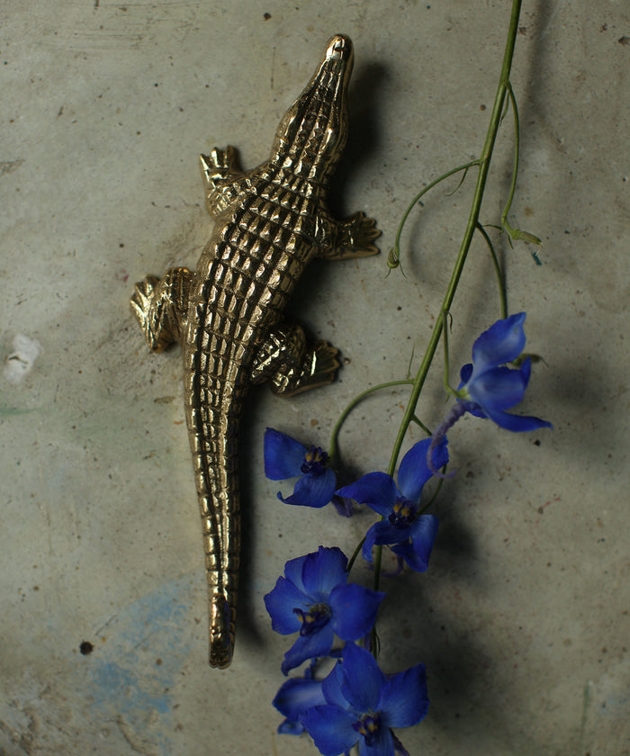 Chewy Crocodile Wall Hook - Recycled Brass