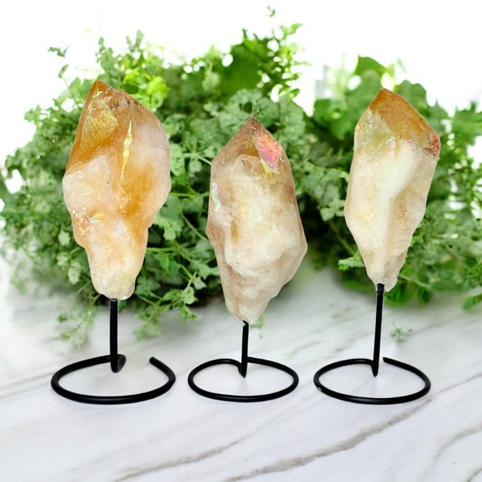 Three citrine crystal rocks on stands with a green leafy background