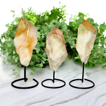 Three citrine crystal rocks on stands with a green leafy background