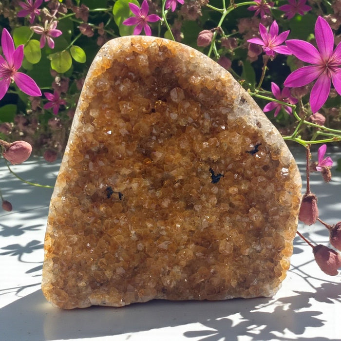 Citrine Geode - 0.6 LBS
